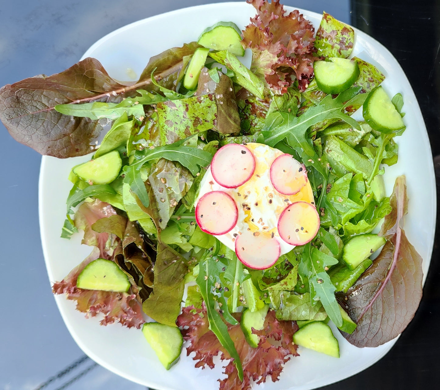 Salat Forellenschluss Samen, Robuste Romana Salat Sorte, Altes historisches Saatgut für den Garten oder Topf Anbau